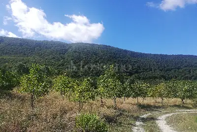 Casa Indipendente in vendita, MALONGA, San Fele