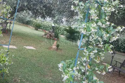 Villa in vendita, Borgo Carso, Latina