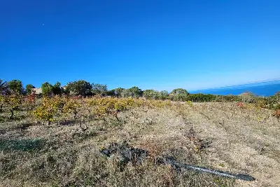 Agricolo in vendita, Località Li Paddimi, Castelsardo