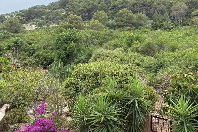 Villino a Schiera in vendita, Via degli Anemoni, Alghero