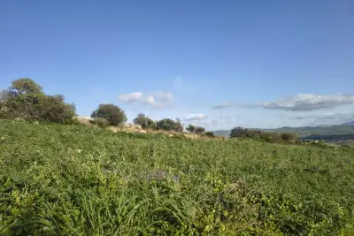 Agricolo in vendita, Contrada Martognella, Valderice