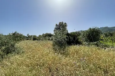Agricolo in vendita, Piano Torre Spartà, Messina