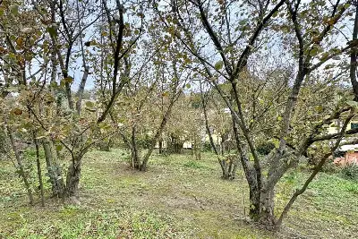 Edificabile Residenziali in vendita, Strada Provinciale 185 , Montefredane, Montefredane