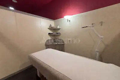 Attività Commerciale in vendita, Via Alessandro Volta, Desio