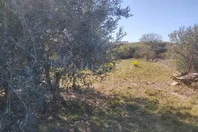 Agricolo in vendita, Vicolo della Patatona , Ciampino