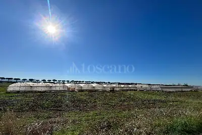 Agricolo in affitto, Strada dell'Ufente, Terracina