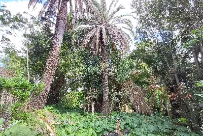 Casa in vendita, Via dei Casali Molinario, Roma