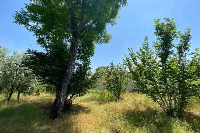Agricolo in vendita, Traversa Cantone 27, Nola