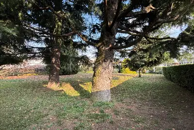 Edificabile Residenziali in vendita, Via Pinerolo, Cantù