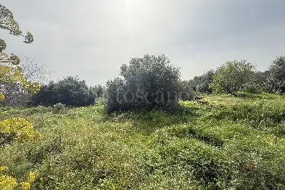 Agricolo in vendita, Via Barbagallo, Aci Castello