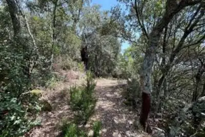 Agricolo in vendita, Telti via Monti Longu., Telti
