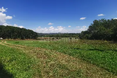 Casale in vendita, Località Ampugnano, Sovicille
