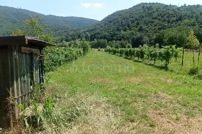 Agricolo in vendita, Località Prada , Nave