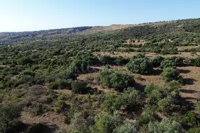Agricolo in vendita, Canicattini - Traversa Bibbia, Canicattini Bagni