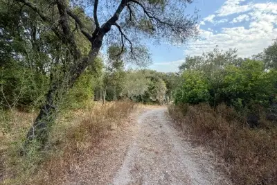 Agricolo in vendita, Via Raica, Olbia