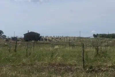 Agricolo in vendita, Strada Cassia Sud, Viterbo