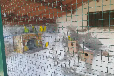 Villa in vendita, Torre Elena, Stalettì