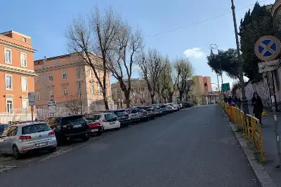 Attività Commerciale in vendita, Via Alfonso Borelli, Roma