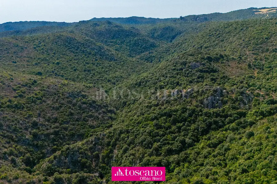 Agricolo in vendita di 176.937 mq a €170.000 (rif. 49/2026)