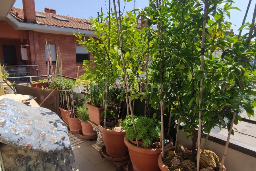 Casa in vendita di 65 mq a €199.000 (rif. 33/2025)