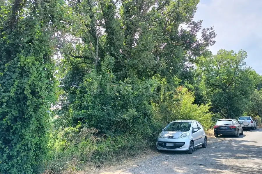 Agricolo in vendita di 3.000 mq a €55.000 (rif. 38/2025)