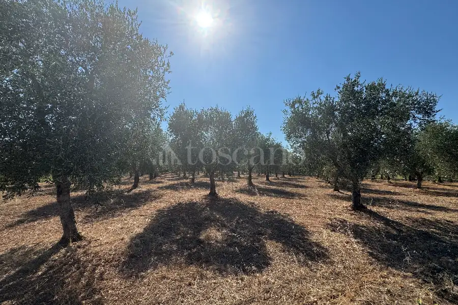 Villa in vendita di 50 mq a €55.000 (rif. 12/2025)