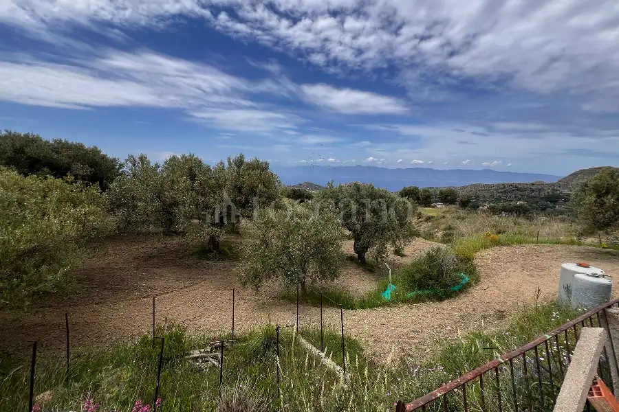 Agricolo in vendita di 16.750 mq a €59.000 (rif. 13/2026)