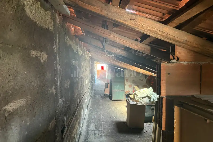 Edificabile Residenziali in vendita di 6.000 mq a €659.000 (rif. 117/2026)