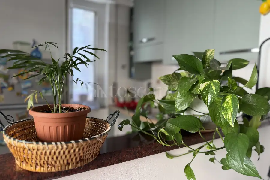Casa in vendita di 50 mq a €169.000 (rif. 45/2026)