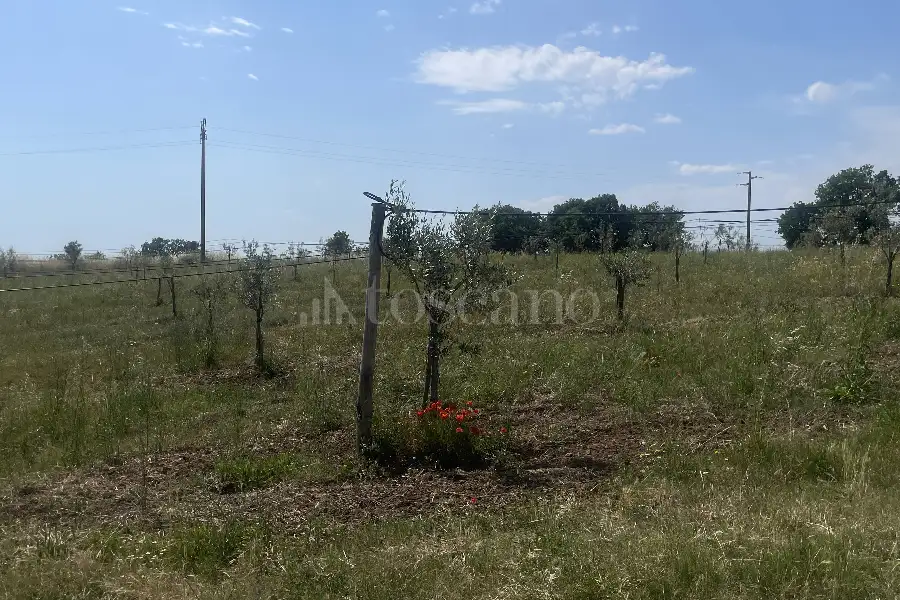 Agricolo in vendita di 60.000 mq a €170.000 (rif. 25/2026)