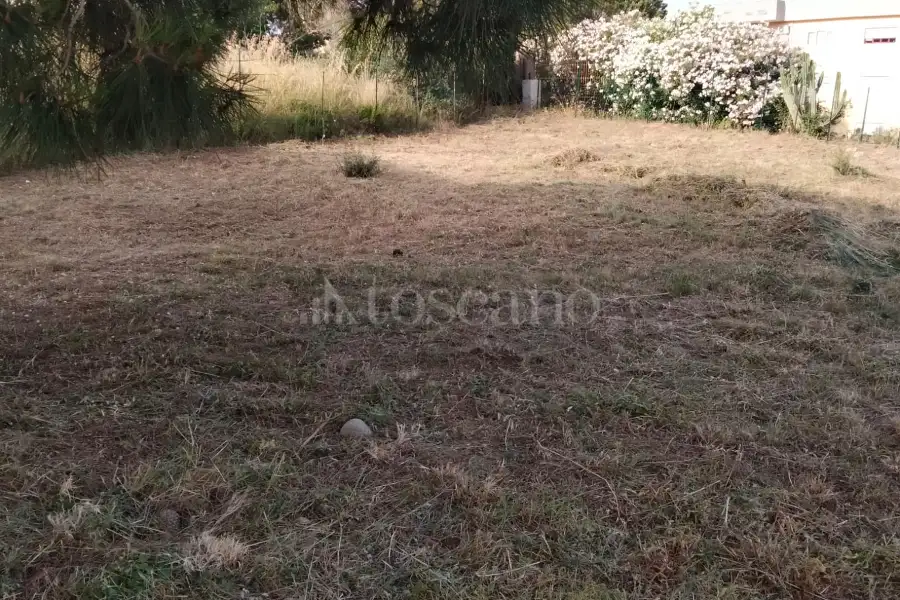 Agricolo in vendita di 820 mq a €18.000 (rif. 31/2026)
