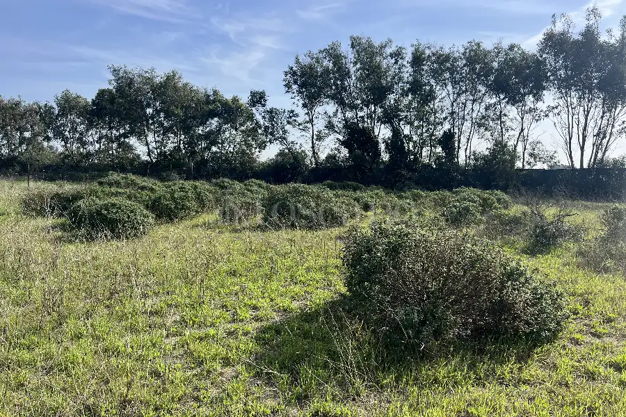 Edificabile Residenziali in vendita di 1.110 mq a €30.000 (rif. 85/2024)
