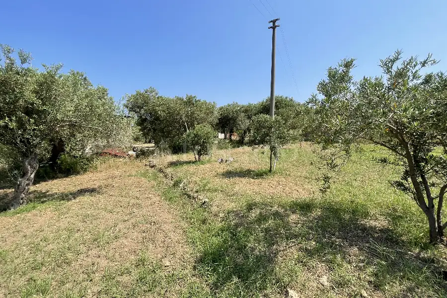 Agricolo in vendita di 3.300 mq a €28.000 (rif. 10/2025)