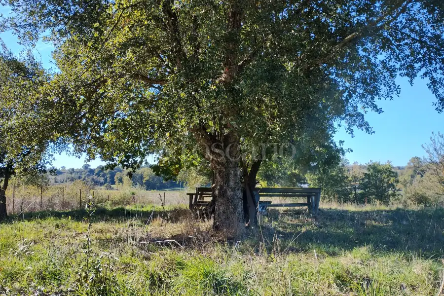 Agricolo in vendita di 1.200 mq a €45.000 (rif. 62/2025)