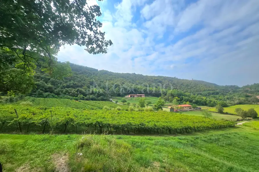 Agricolo in vendita di 15.000 mq a €210.000 (rif. 75/2026)