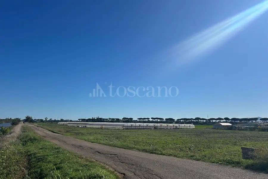 Agricolo in affitto di 50.000 mq a €80.000 (rif. 4/2026)
