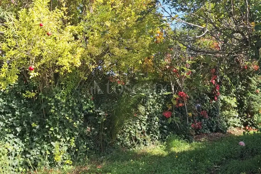 Casa Indipendente in vendita di 70 mq a €90.000 (rif. 96/2026)