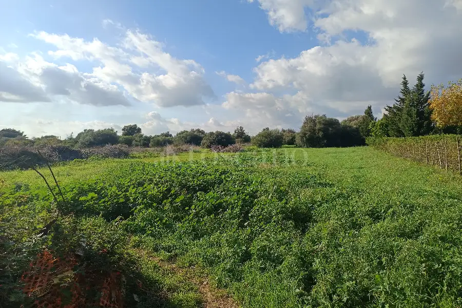 Edificabile Residenziali in vendita di 25.000 mq a €335.000 (rif. 137/2025)