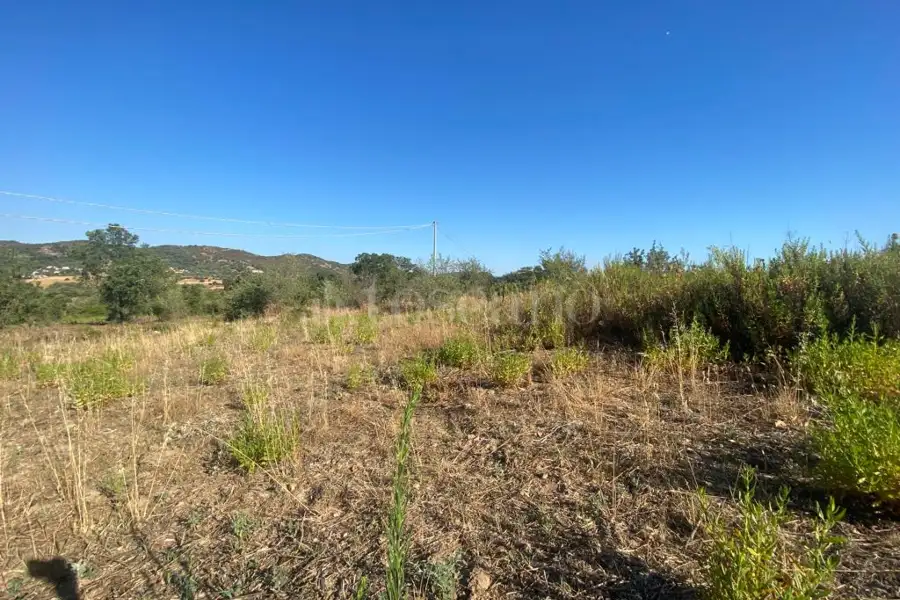 Edificabile Residenziali in vendita di 1.177 mq a €99.000 (rif. 3/2026)