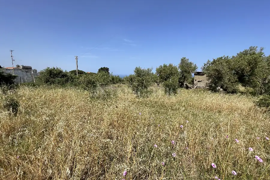 Agricolo in vendita di 3.300 mq a €28.000 (rif. 10/2025)