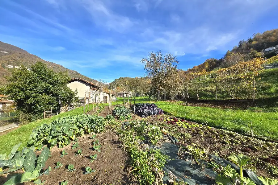Rustico in vendita di 120 mq a €87.000 (rif. 67/2025)