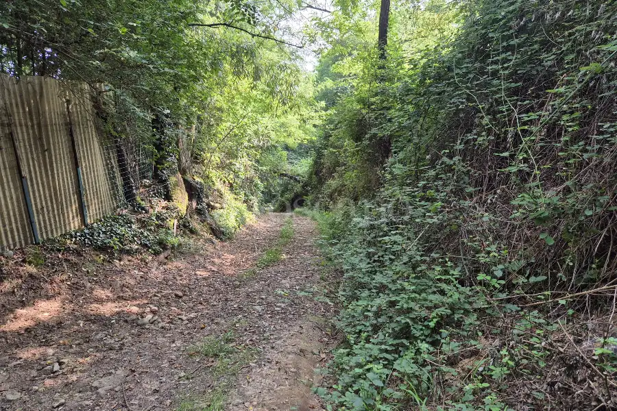 Rustico in vendita di 160 mq a €125.000 (rif. 24/2025)