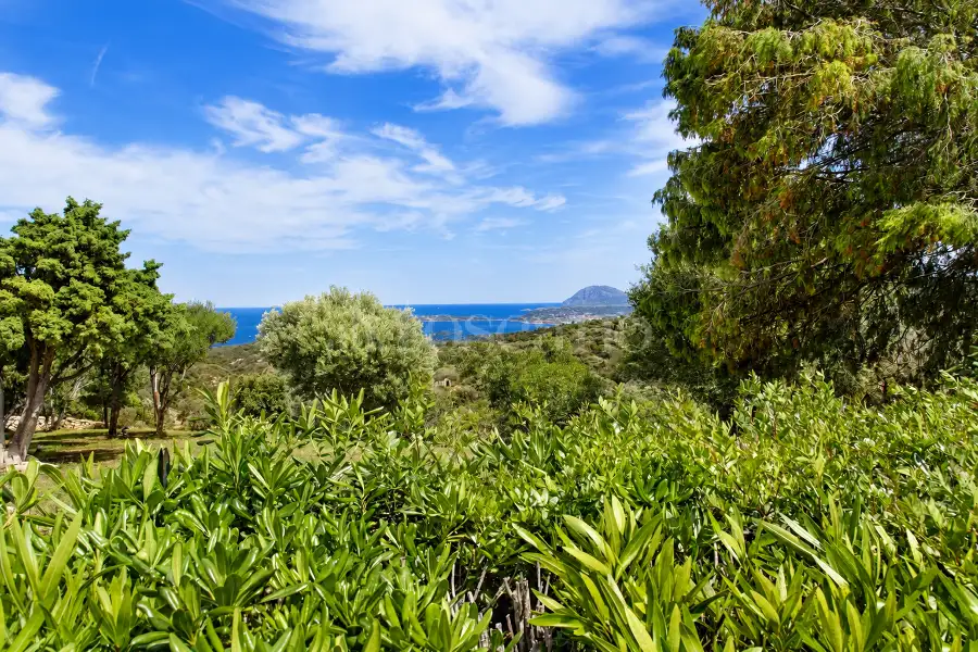 Villa in vendita di 278 mq a €1.200.000 (rif. 41/2025)