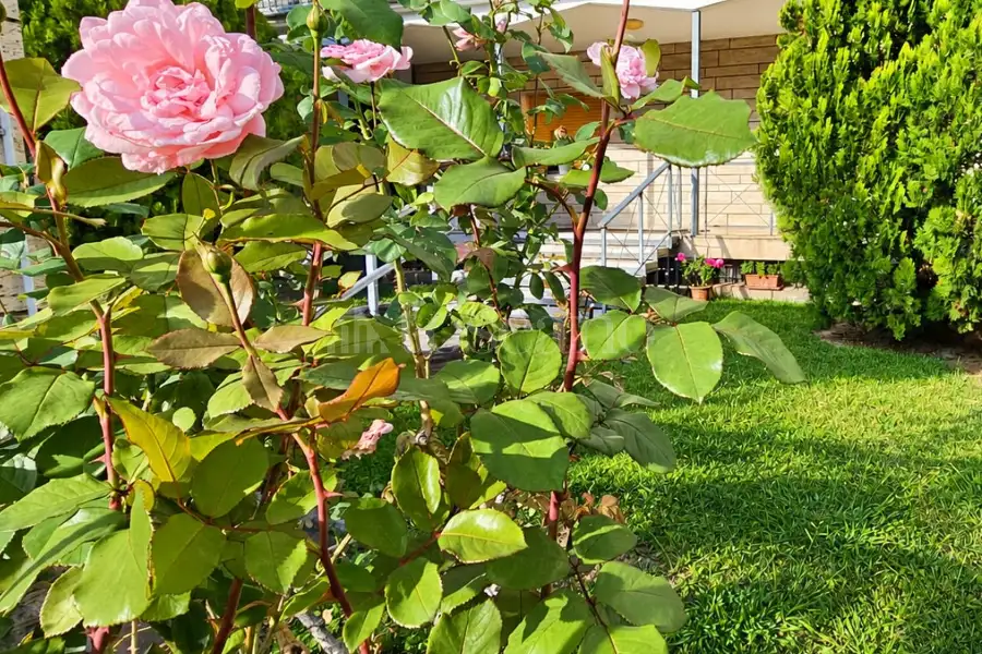 Casa in vendita di 80 mq a €265.000 (rif. 36/2026)