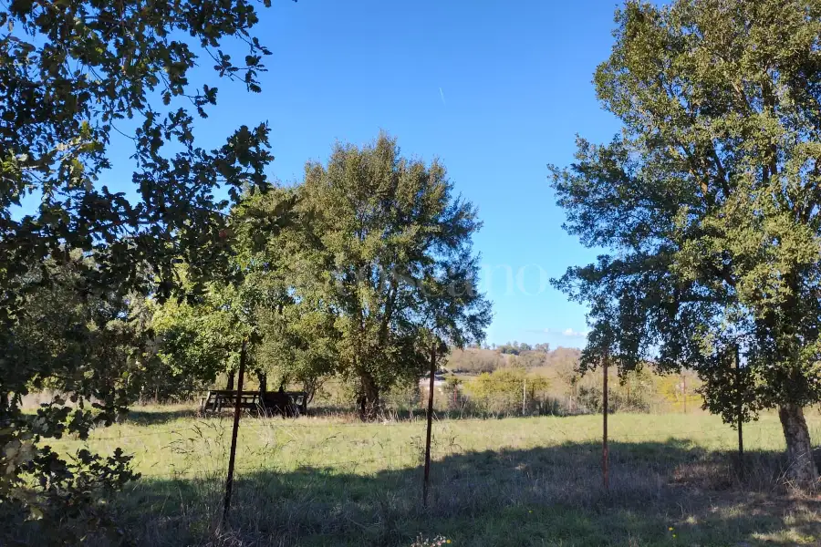 Agricolo in vendita di 1.200 mq a €45.000 (rif. 62/2025)