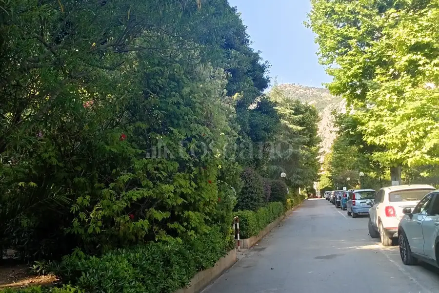 Ufficio in affitto di 55 mq a €650 (rif. 18/2026)