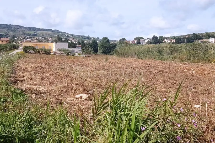 Edificabile Residenziali in vendita di 4.623 mq a €42.000 (rif. 30/2025)