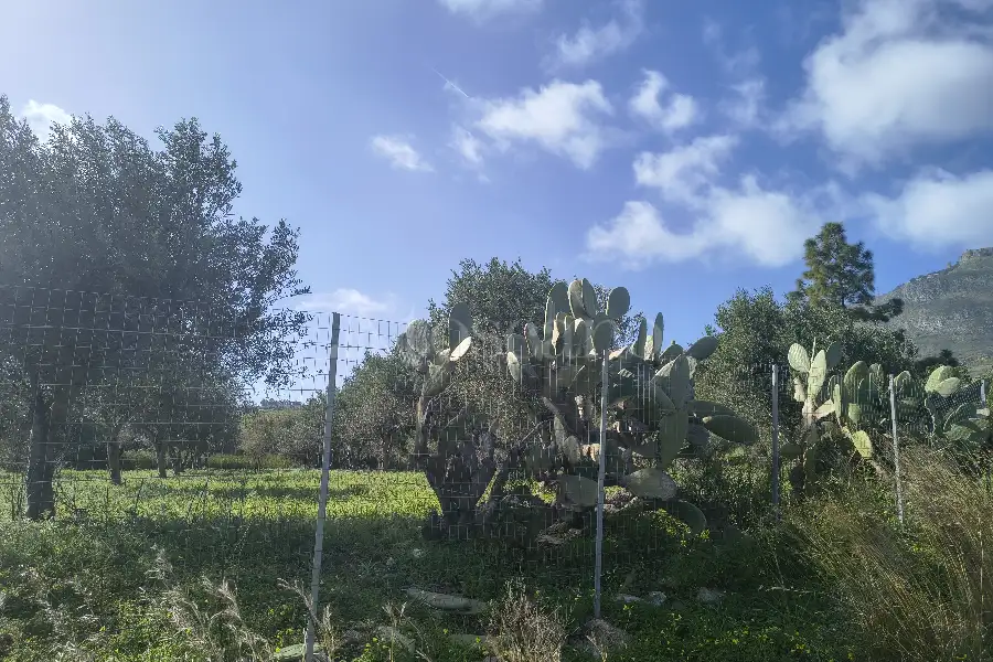 Agricolo in vendita di 55.538 mq a €128.000 (rif. 15/2026)