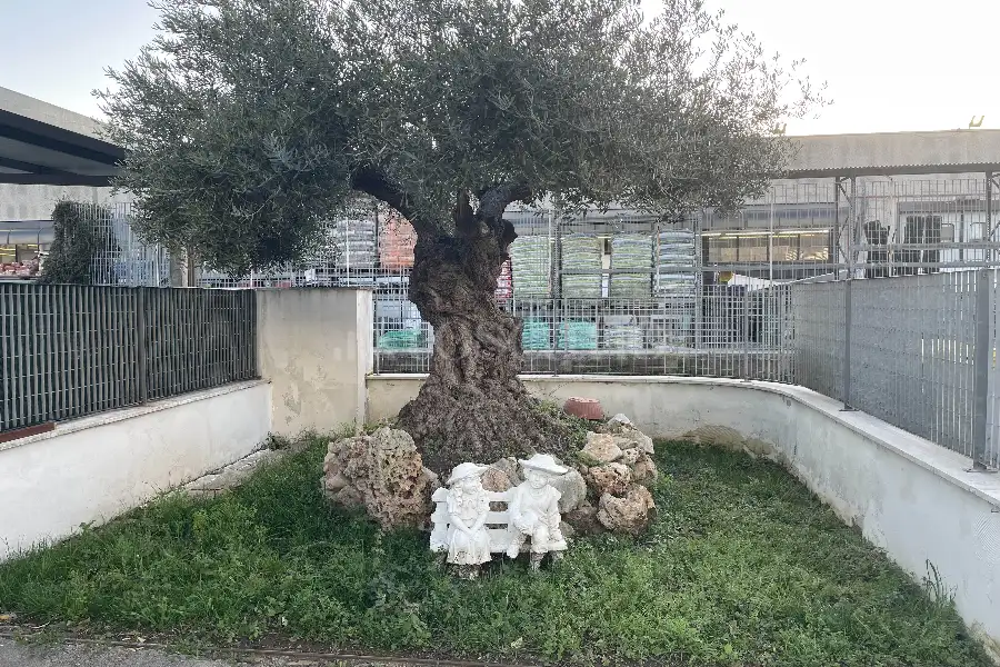 Capannone in vendita di 1.000 mq a €1.900.000 (rif. 15/2026)