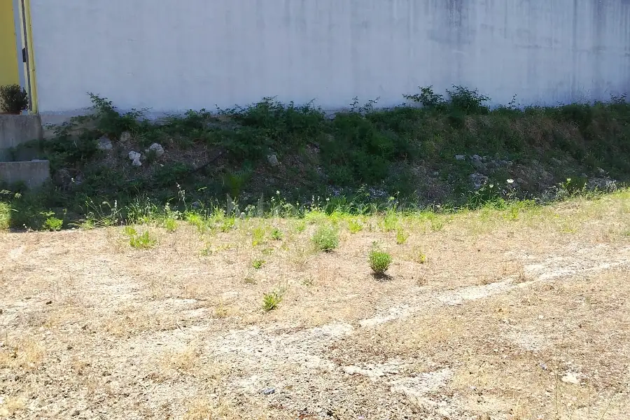 Edificabile Residenziali in vendita di 620 mq a €55.000 (rif. 148/2026)